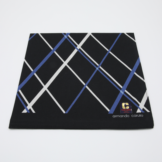 Armando Caruso - Mens Hankies - Navys