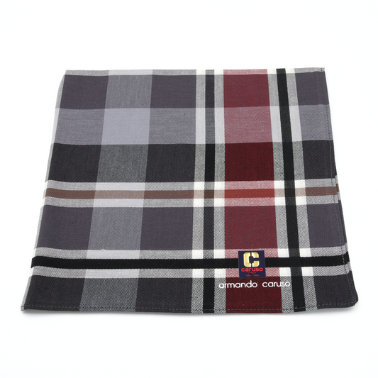 Armando Caruso - Mens Hankies - Blue/Red Large Check
