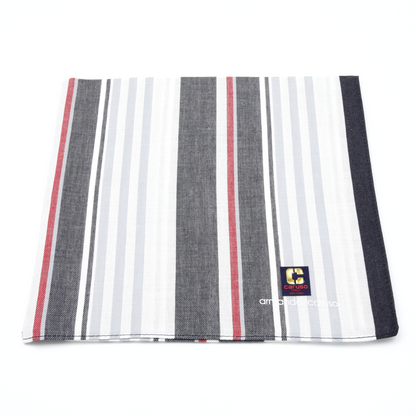 Armando Caruso - Mens Hankies - Denim Stripes
